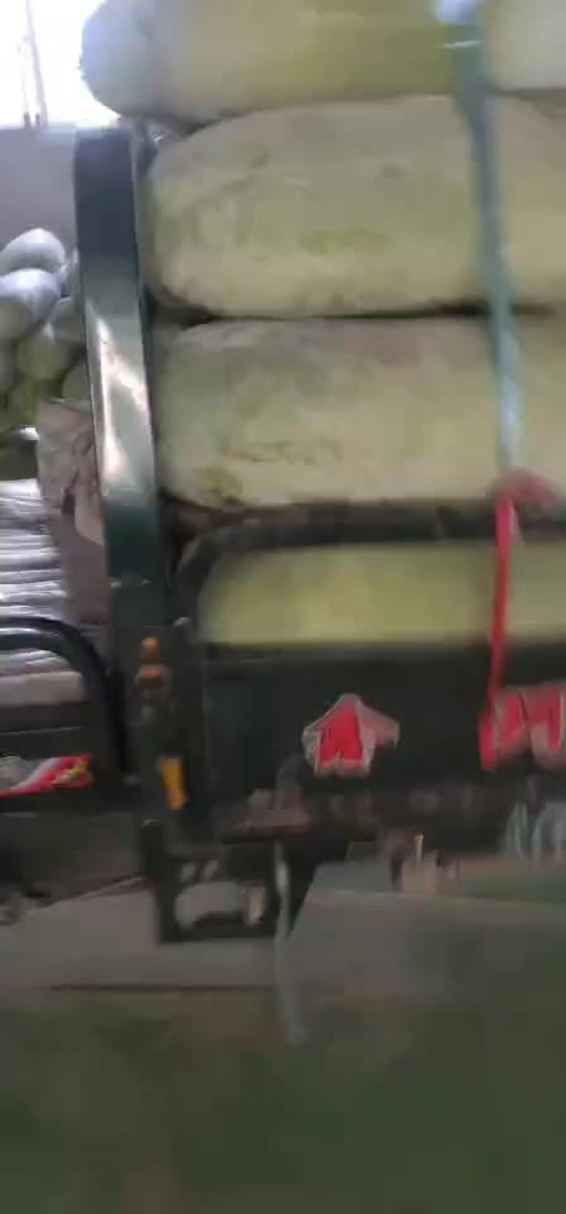 冬瓜，长白条冬瓜，