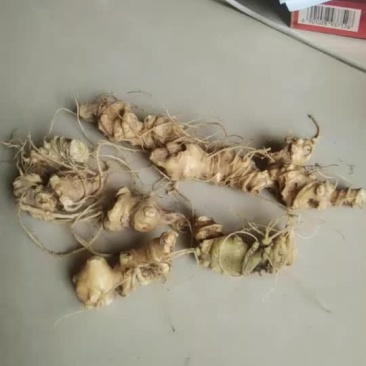 竹节参，地处硒都湖北恩施，质量上乘，全程农家肥，无农药残