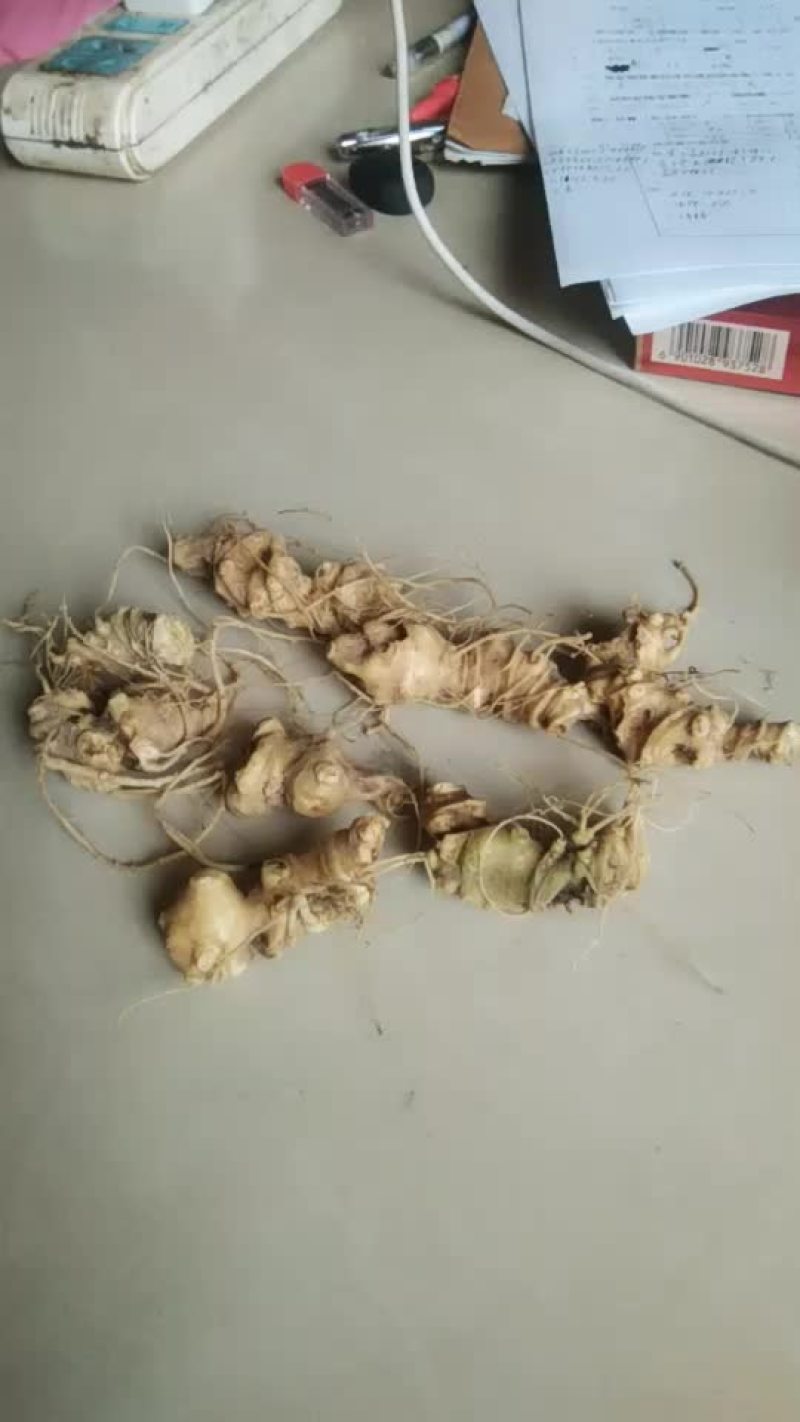 竹节参，地处硒都湖北恩施，质量上乘，全程农家肥，无农药残
