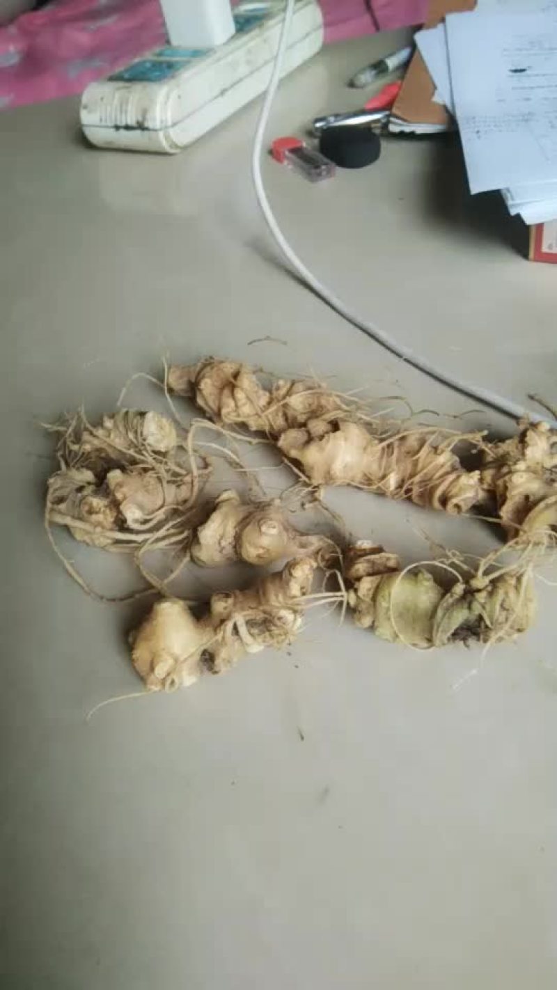 竹节参，地处硒都湖北恩施，质量上乘，全程农家肥，无农药残