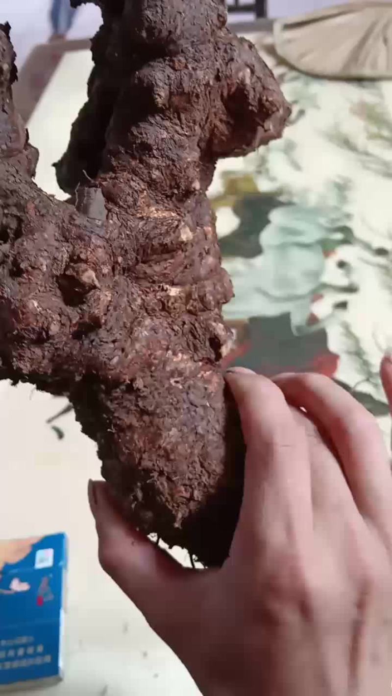 黄枸杞，黄荆老桩