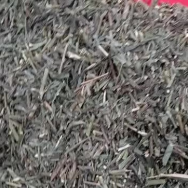 柴胡苗中药材柴胡苗硬苗柴胡叶柴胡苗香柴胡苗正品净货