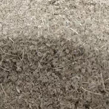 鹤虱鹤虱500克包邮中药材野生新货北鹤虱窃衣子