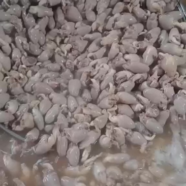 熟食五香麻辣鸡心开袋即食一件代发