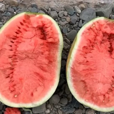 好货走起