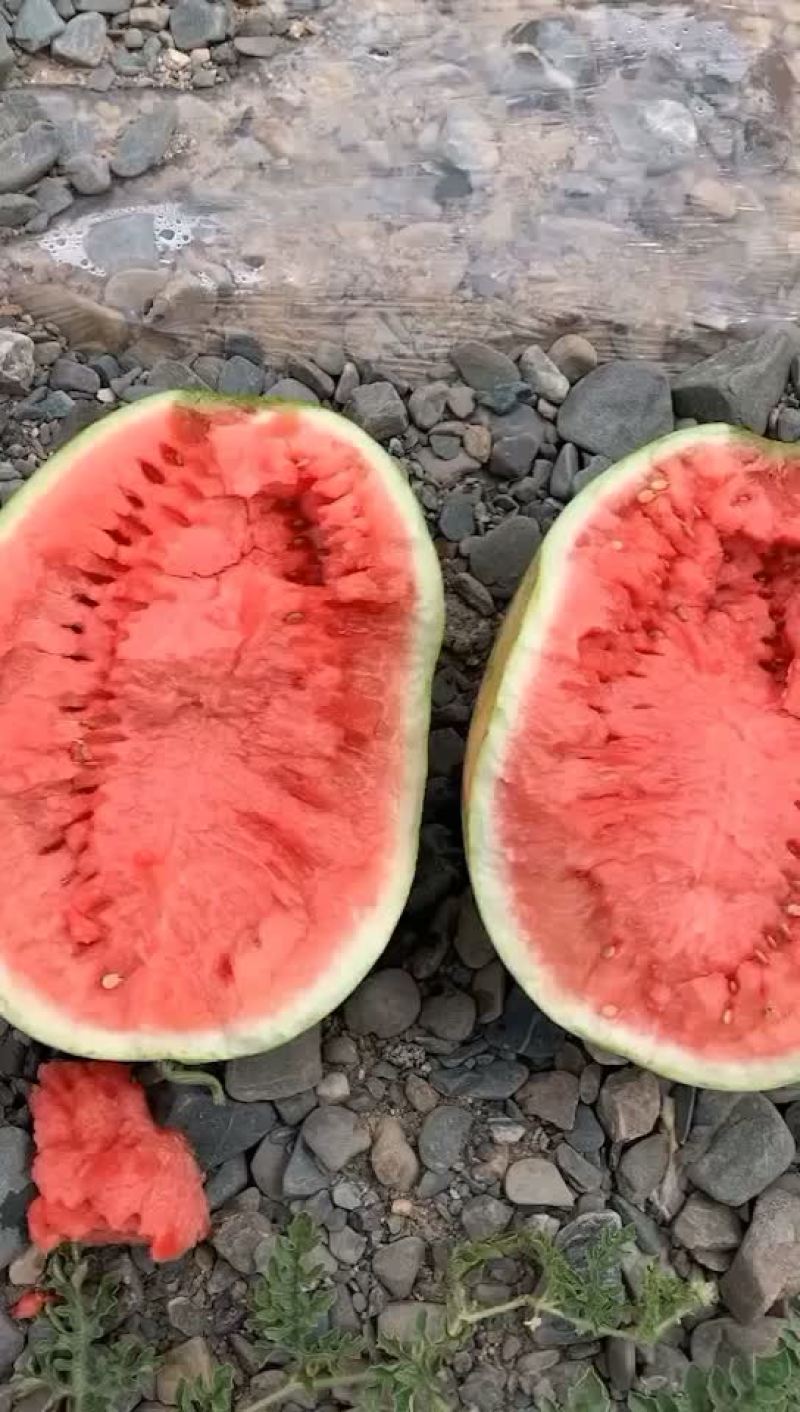 好货走起