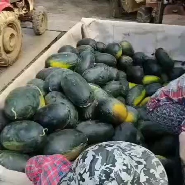 黑妹人