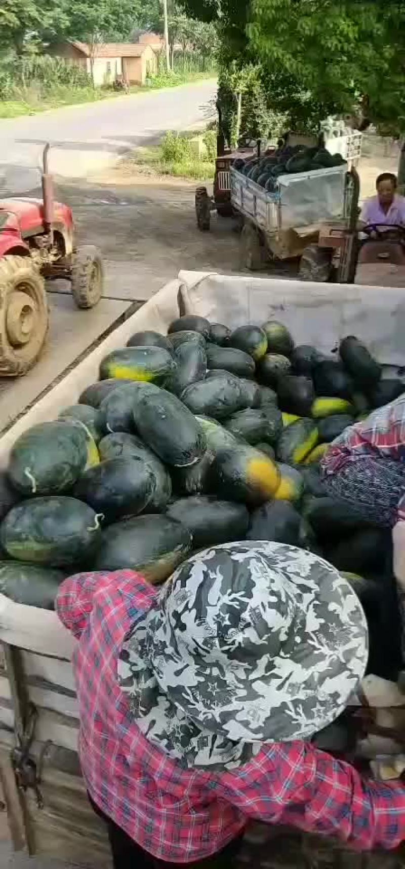 黑妹人