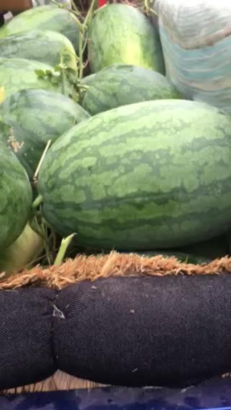 龙卷风大量上市了，欢迎新老客户前来收购。
