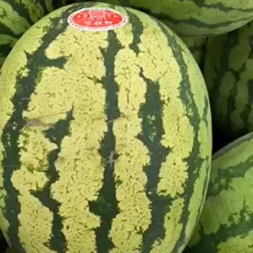 好货，好货，早走一挂