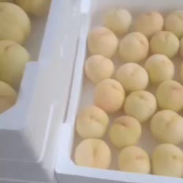 个大味美可口，能刚撕皮的水蜜桃