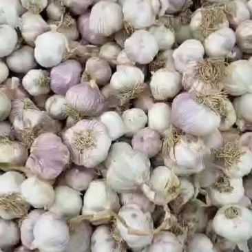 瓣蒜