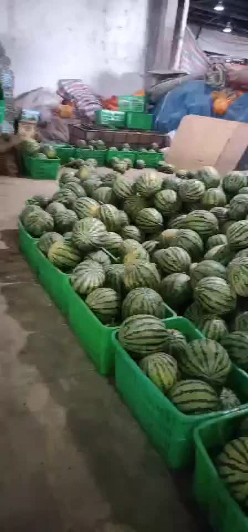 成都蒙阳雨润市场代销西瓜
