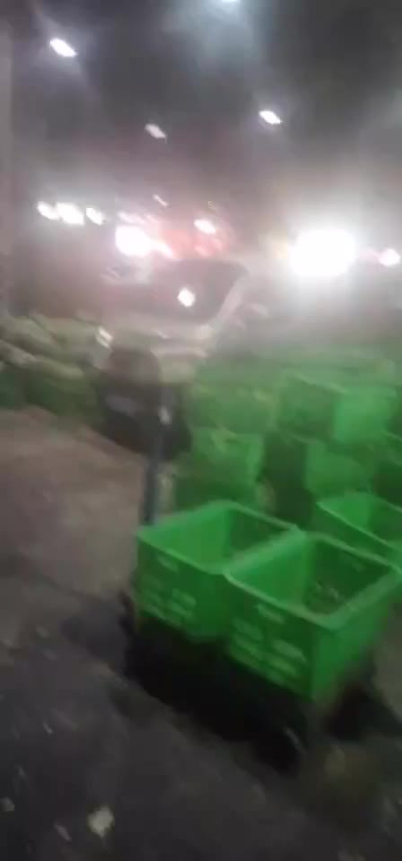 成都蒙阳雨润市场代销西瓜