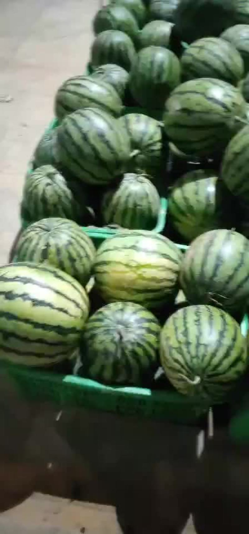 成都蒙阳雨润市场代销西瓜