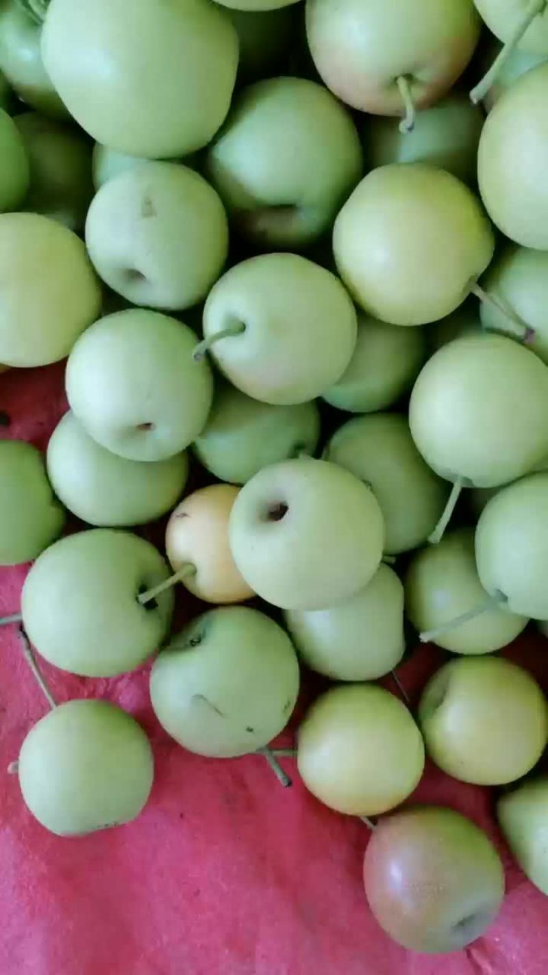 1259