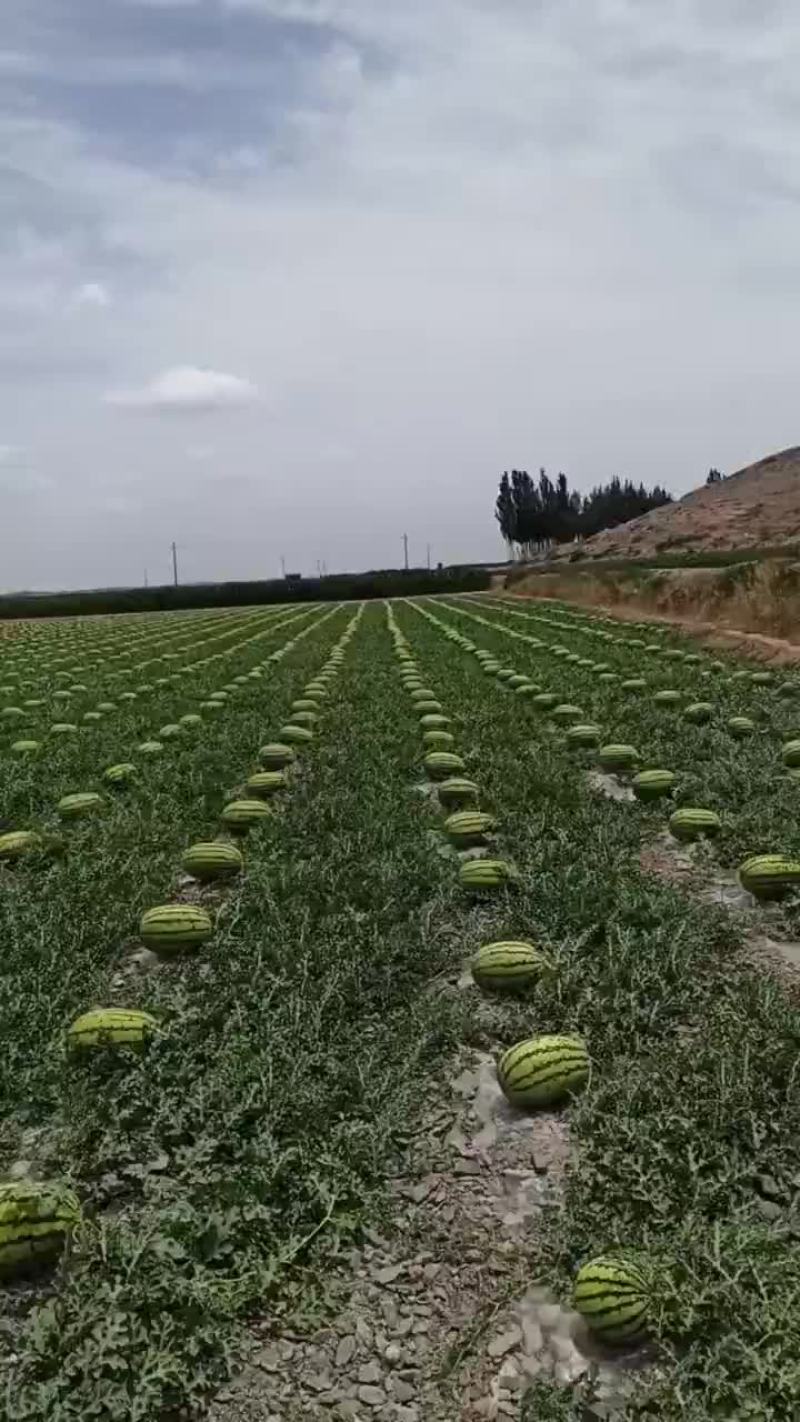 西瓜