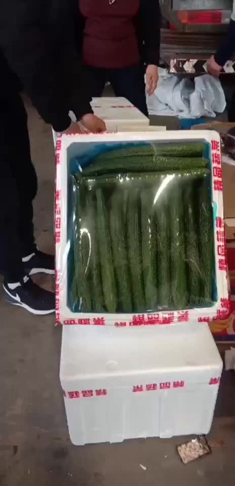 黄瓜