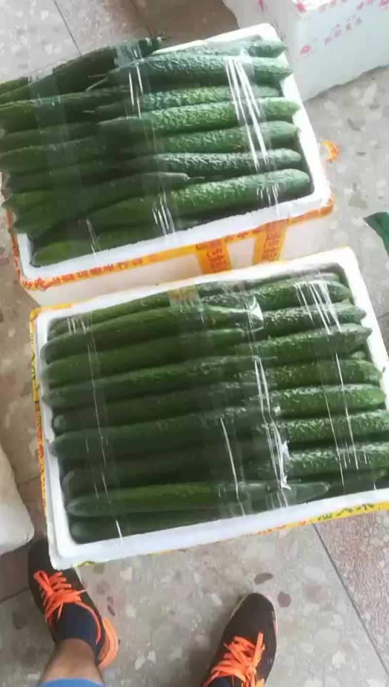 高品质香芋南瓜，个头大，品相好，香芋味浓