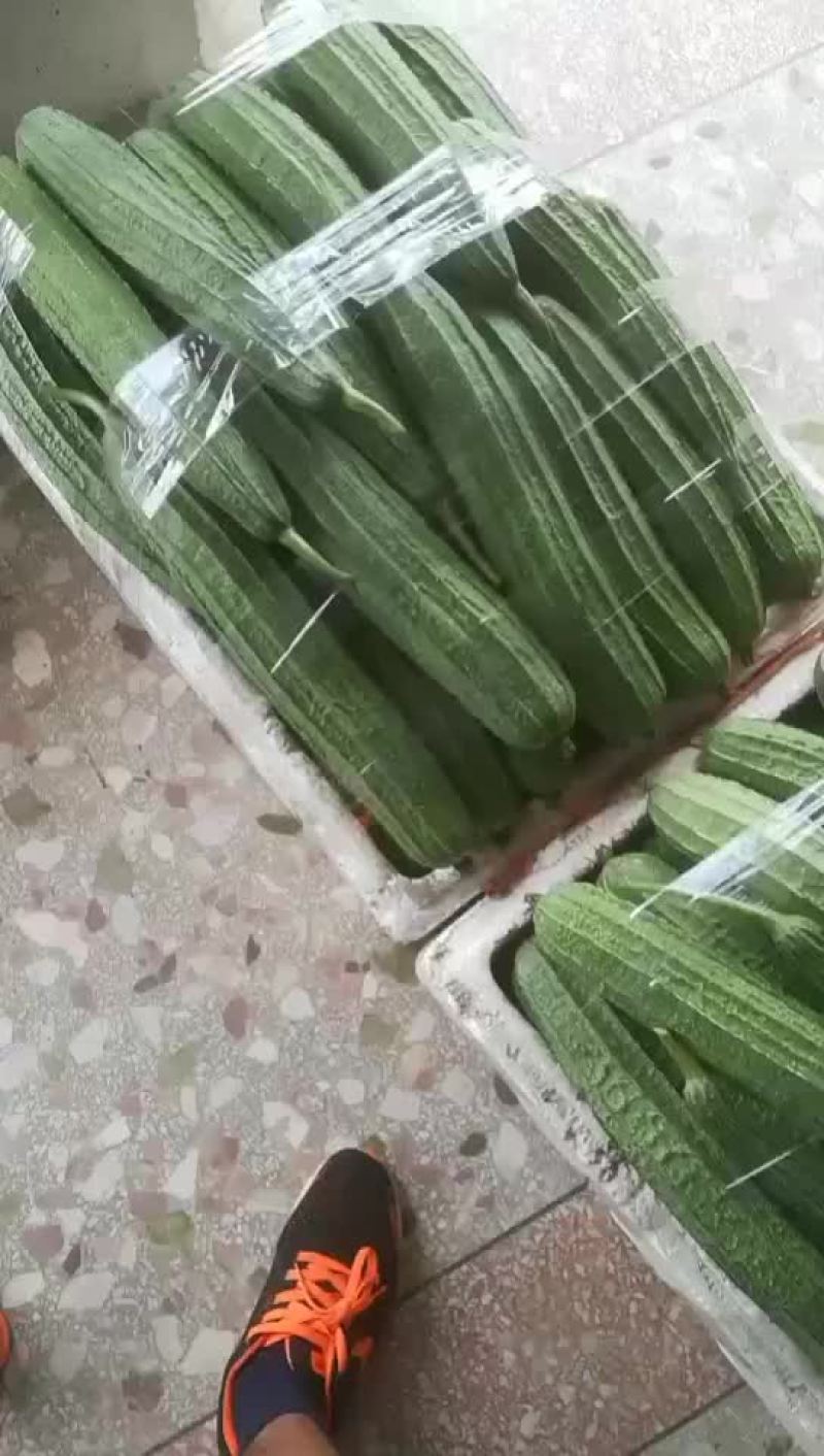 高品质香芋南瓜，个头大，品相好，香芋味浓