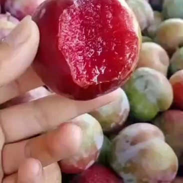 芙蓉李子