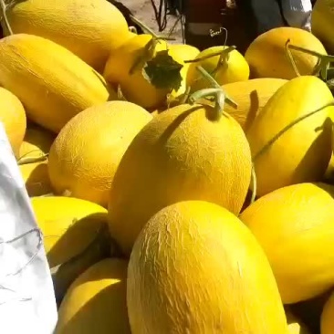 大量现货