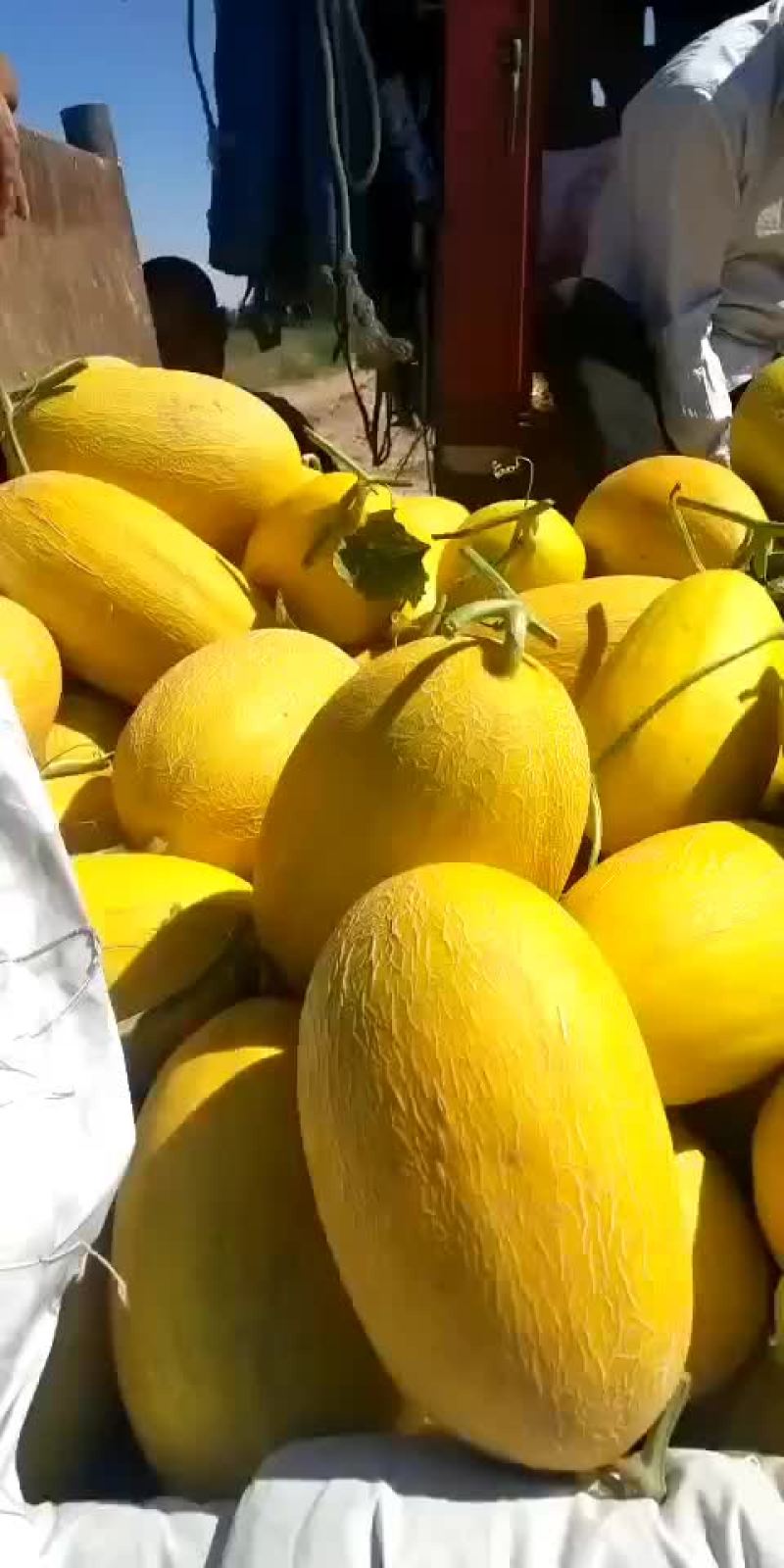 大量现货