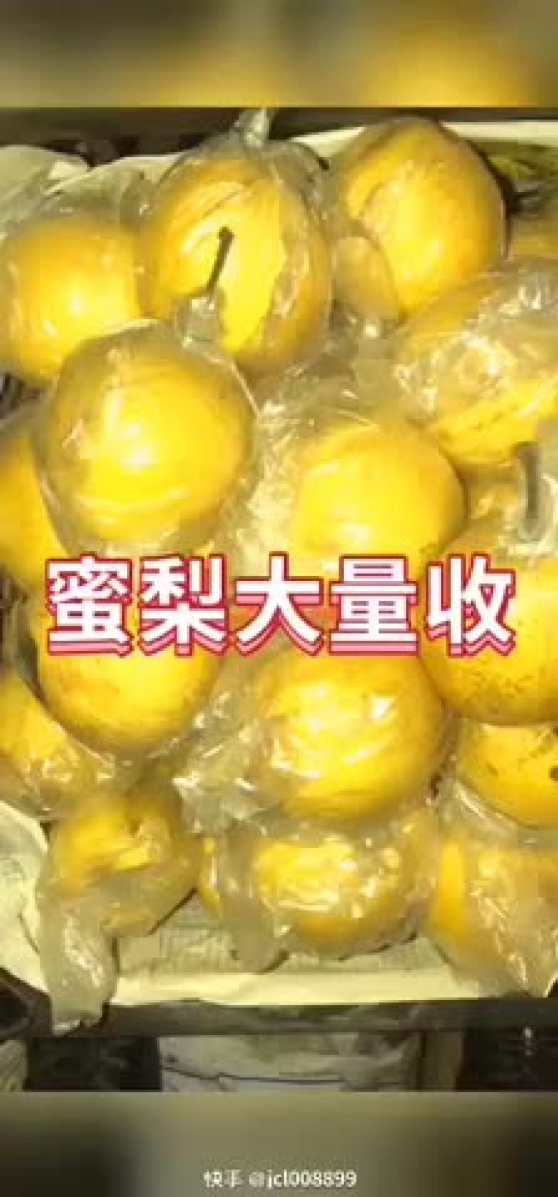 密梨超甜小型果蜜梨新鲜水果应季果蔬多汁美味