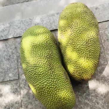 海