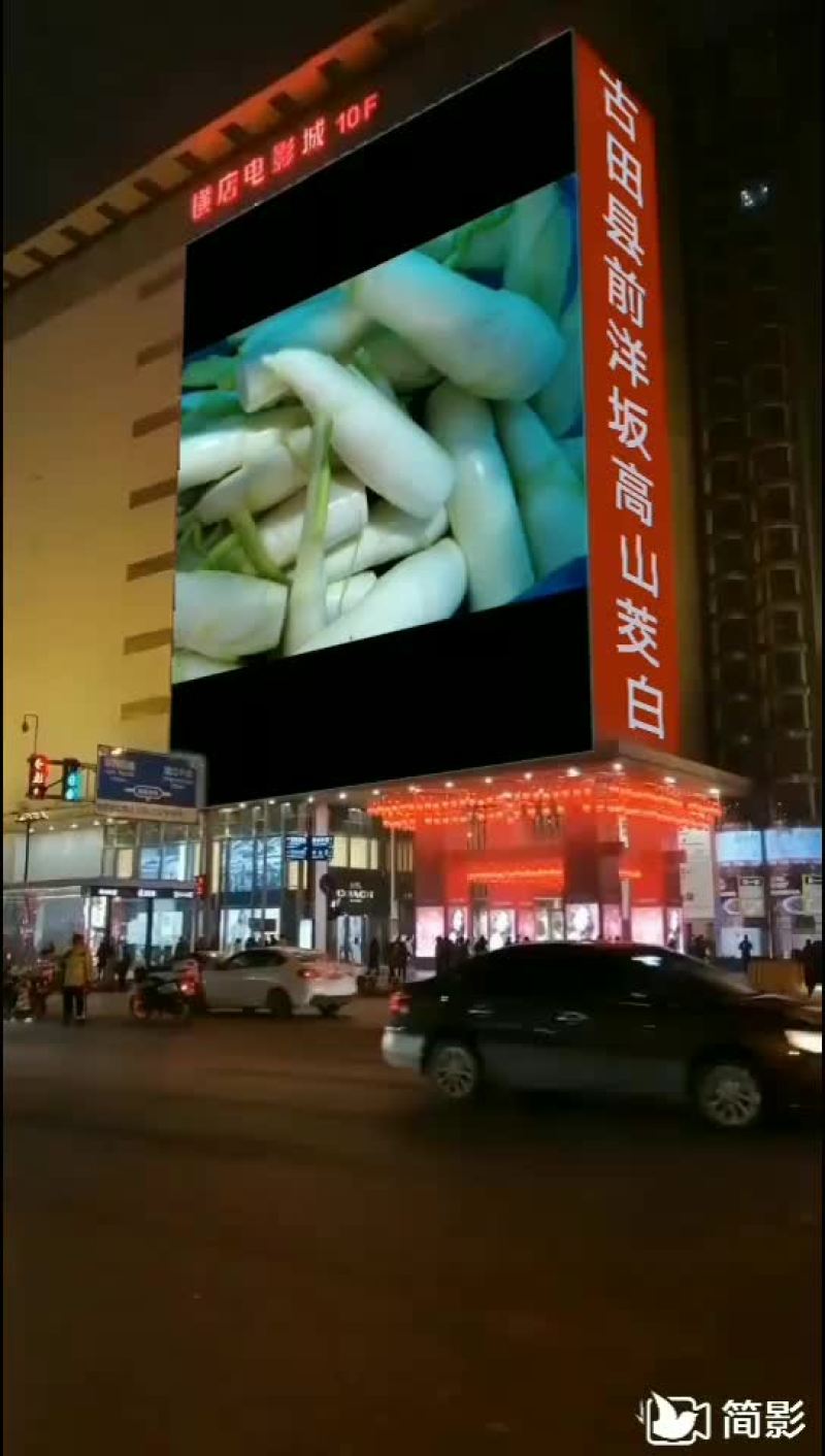 美人茭
