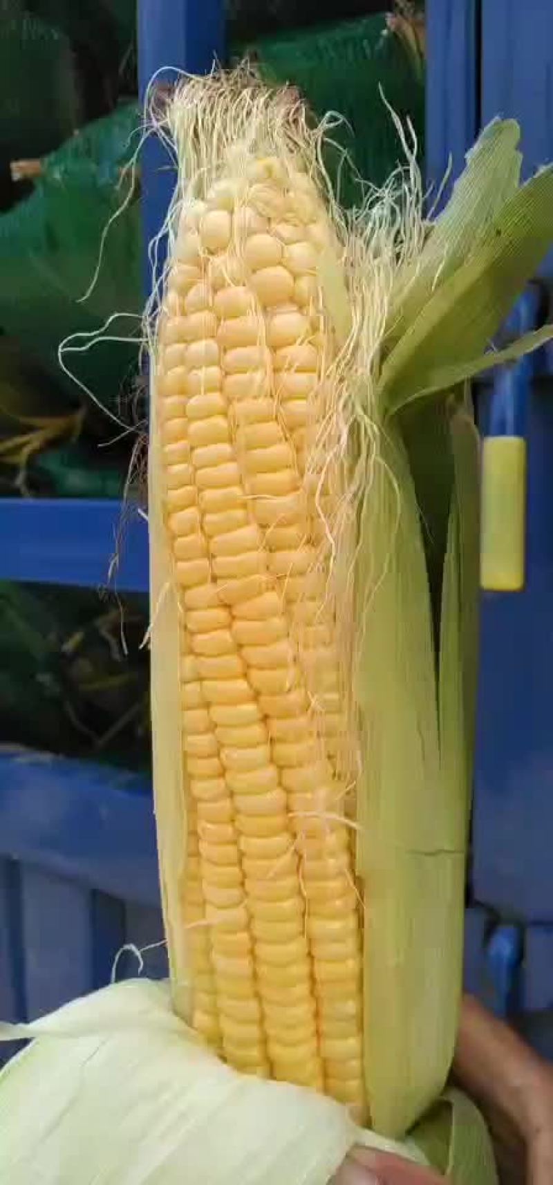 精品