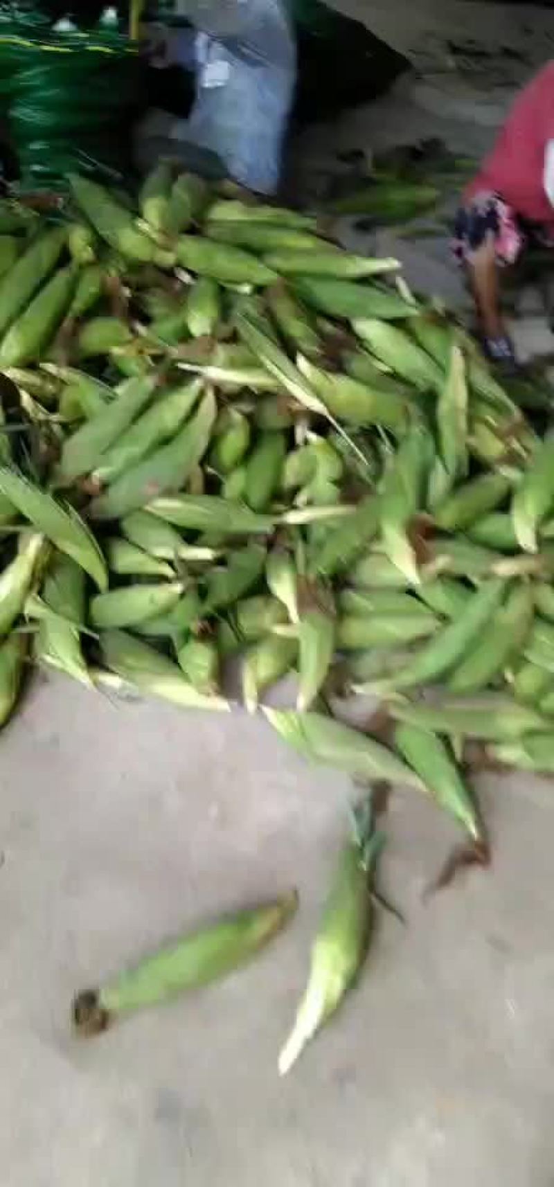 精品