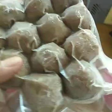 牛肉丸撒尿牛肉丸火锅必备食材