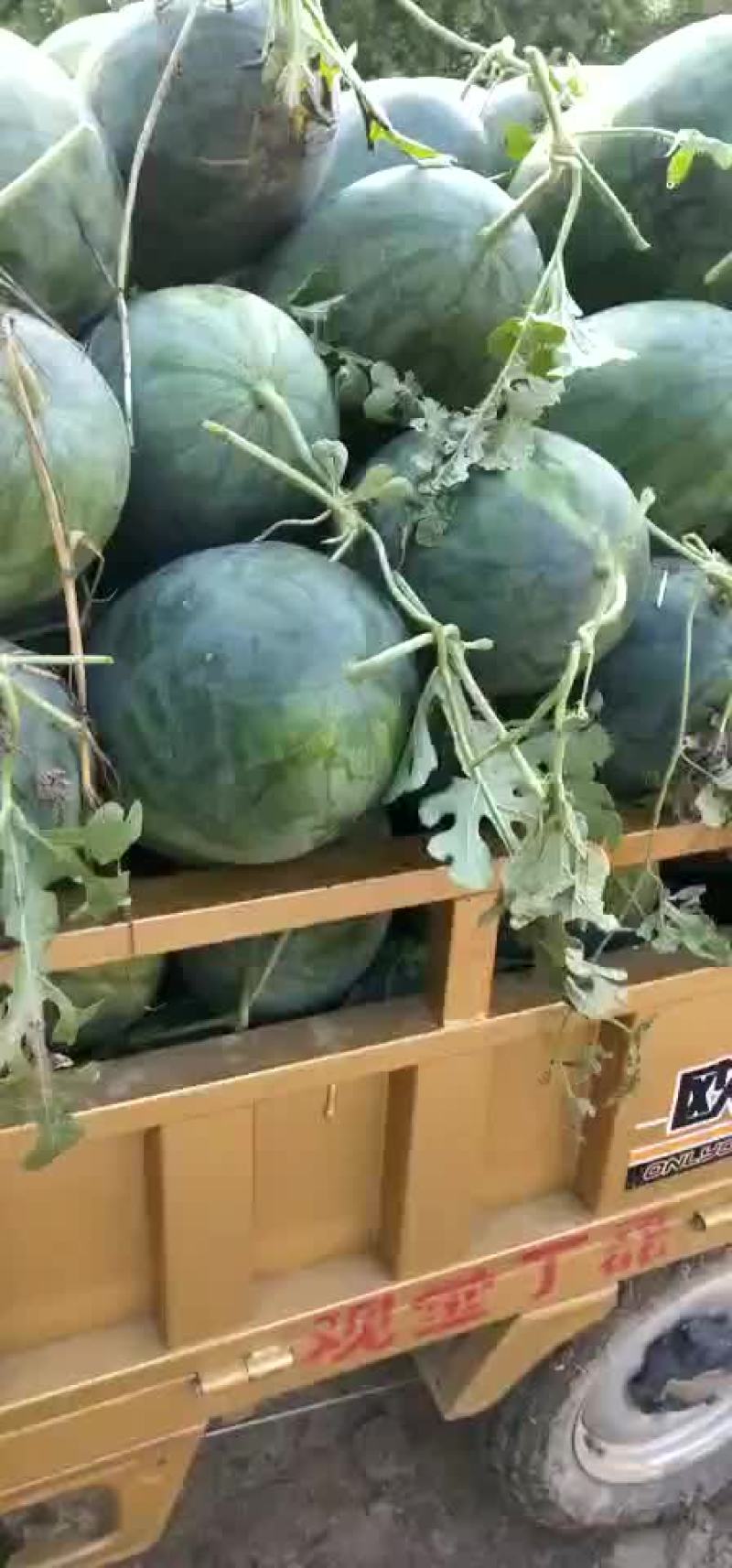龙旋风
