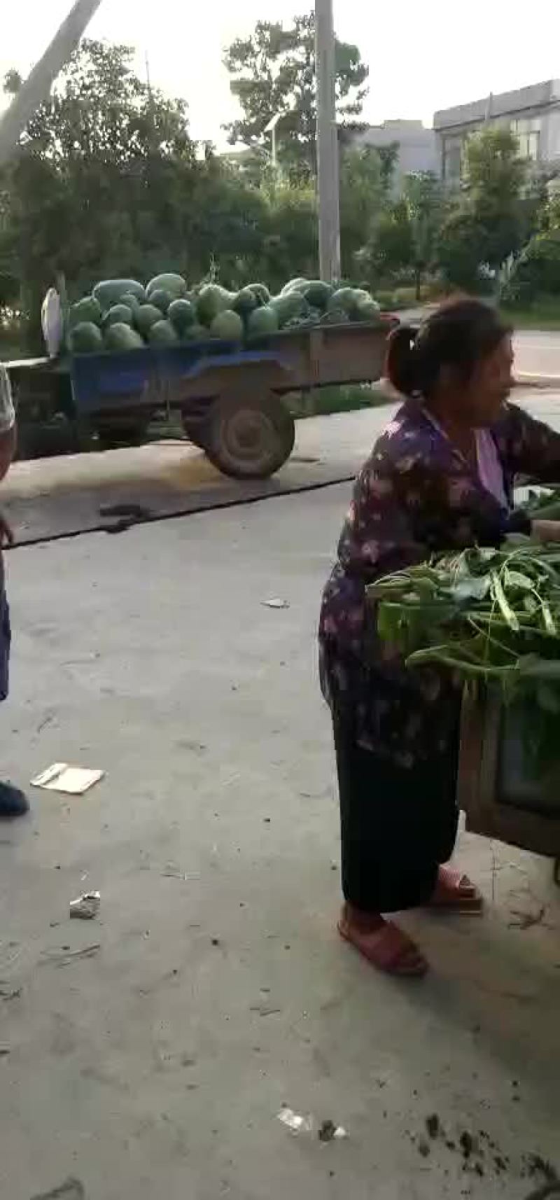 龙旋风