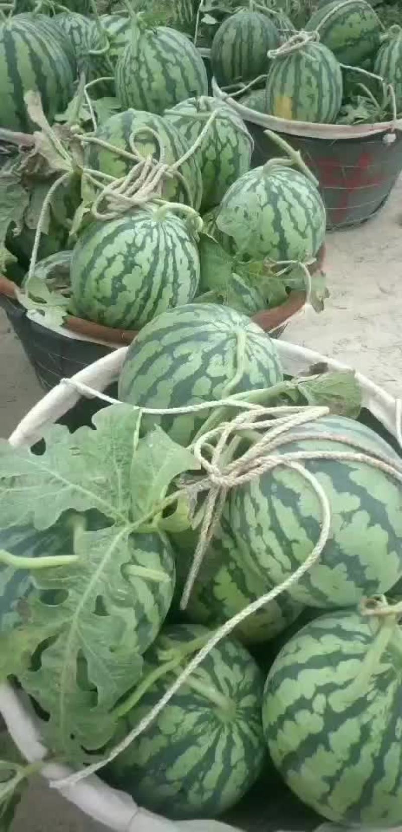 自产自售