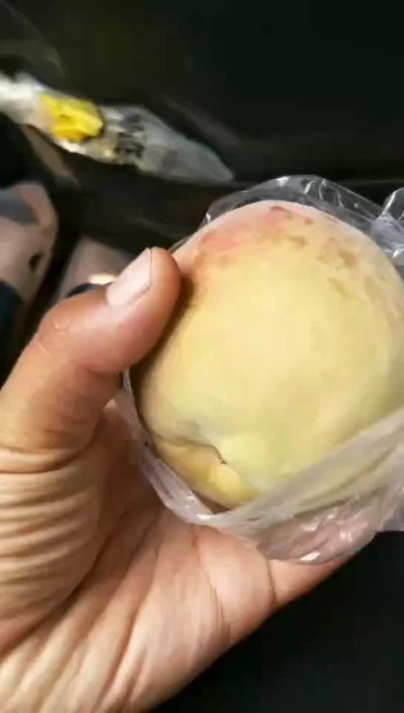 毛桃