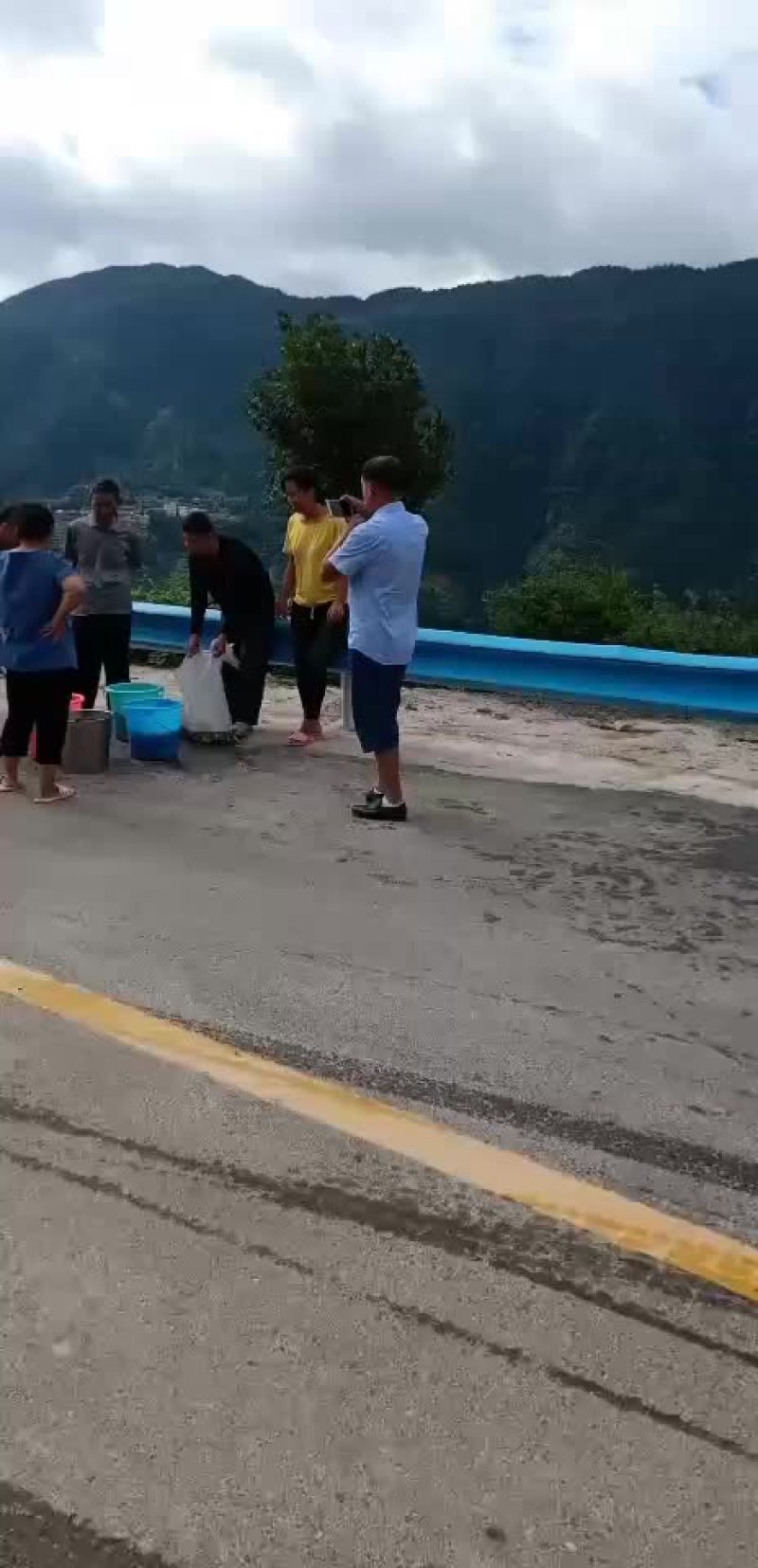 鲤鱼苗，建鲤鱼苗，单性鲤鱼苗，杂交鲤鱼苗