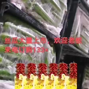丝瓜