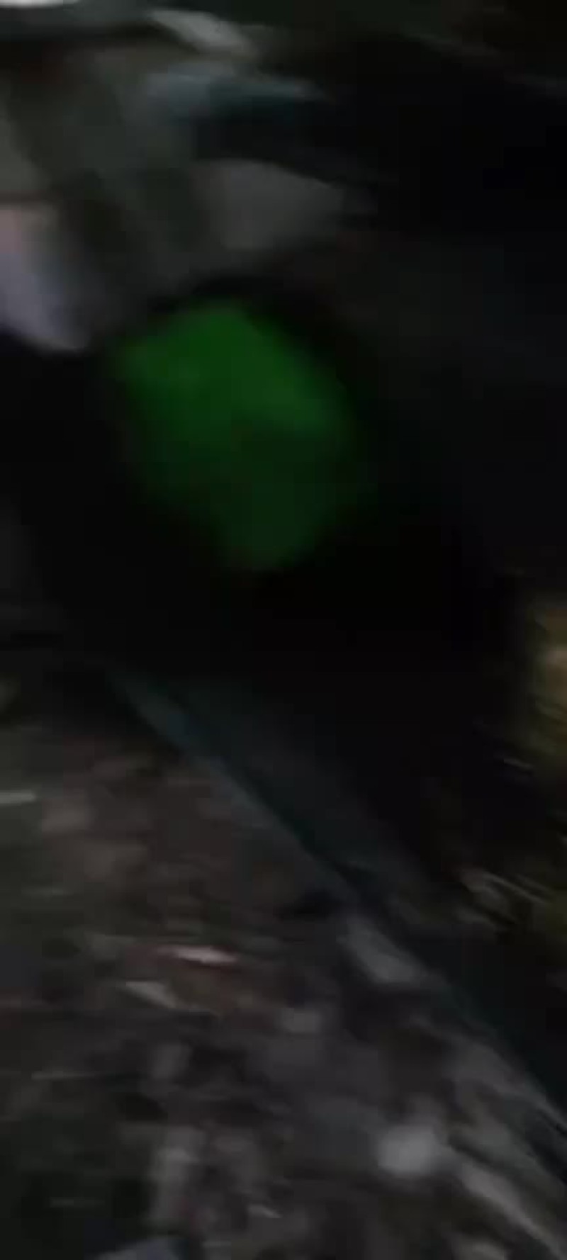 油炸白条鱼