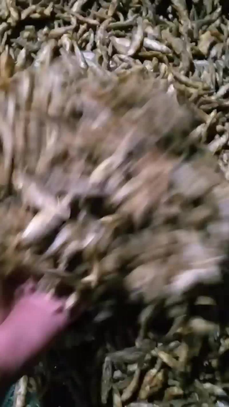 油炸白条鱼
