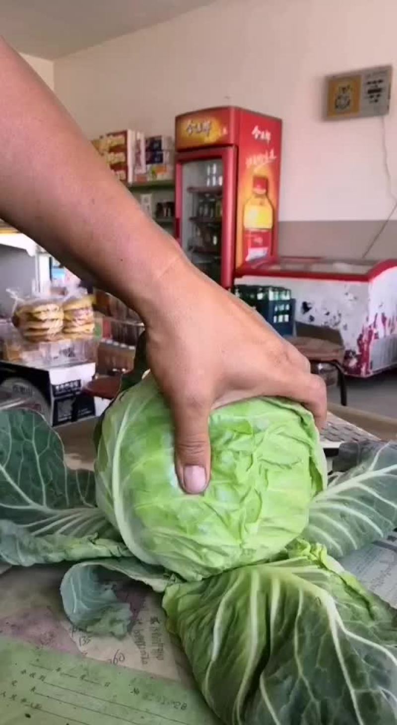 绿甘蓝