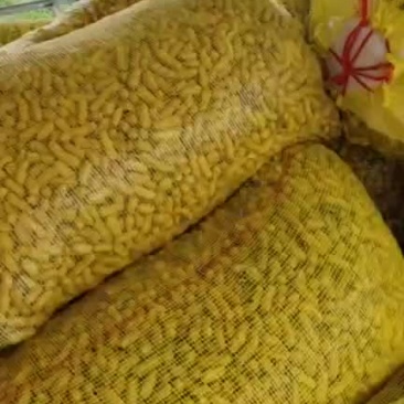 花生大量上市供应，有需要的老板欢迎致电