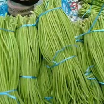 豇豆苦瓜，