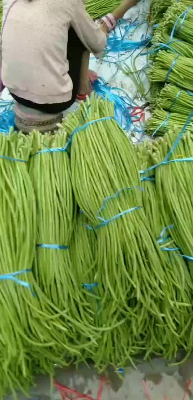 豇豆苦瓜，