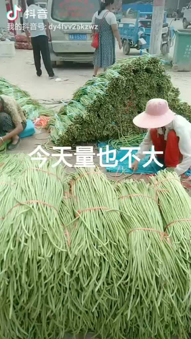 豇豆苦瓜，