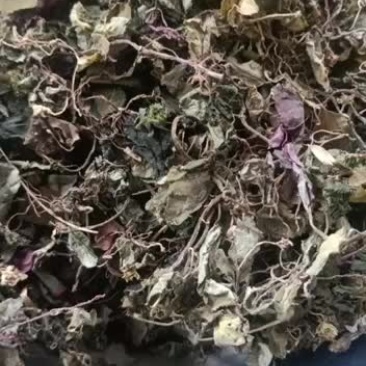 风柜斗草，存野生，干度好，味足