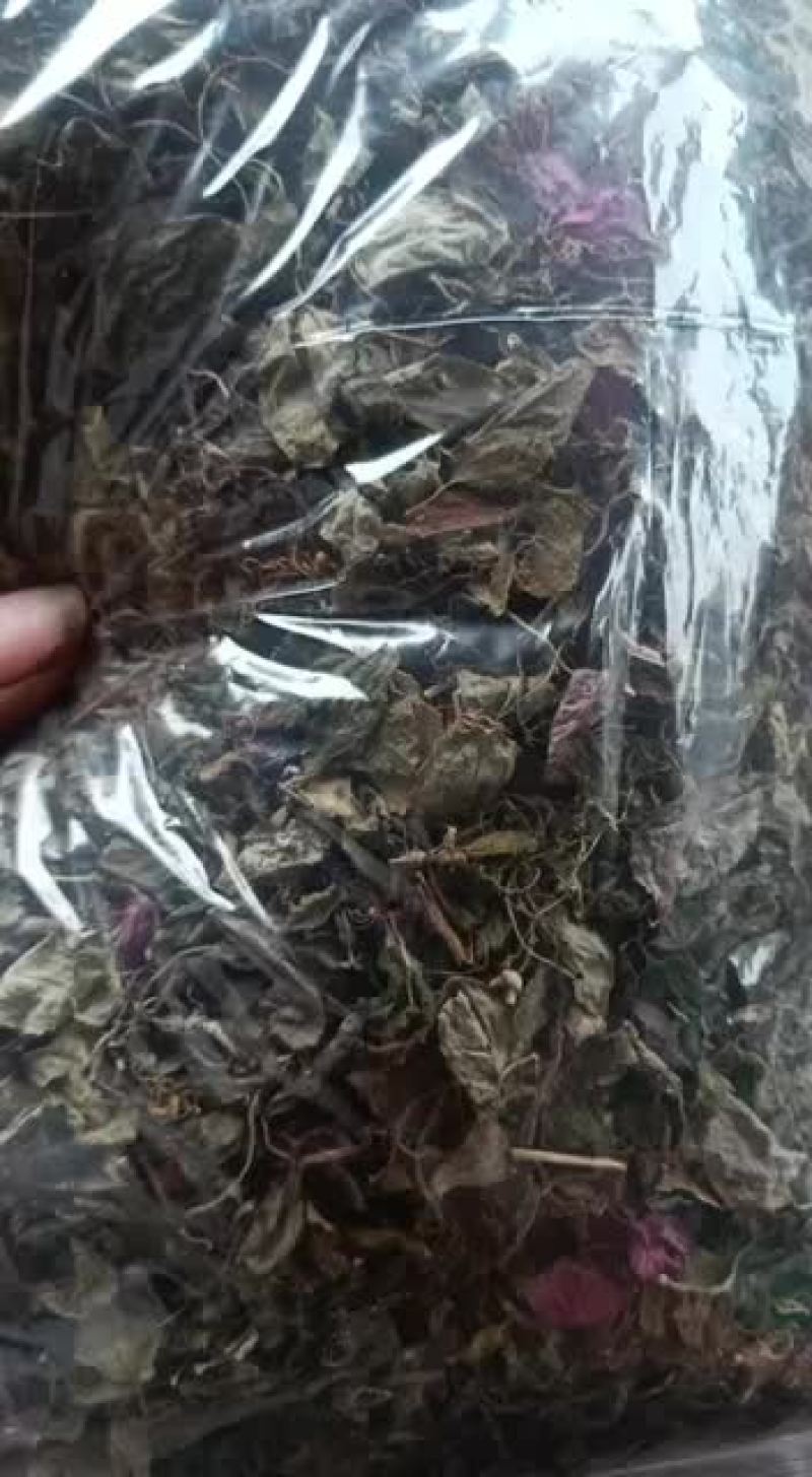 风柜斗草，存野生，干度好，味足