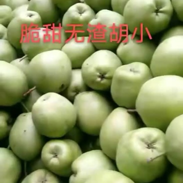 阳信早酥梨