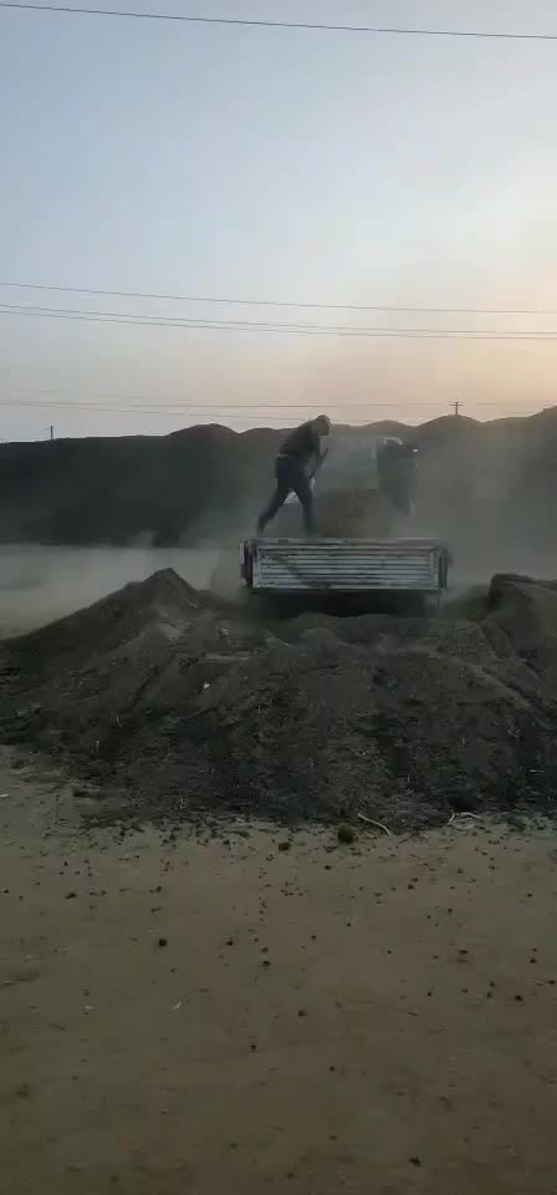 干羊粪发酵内蒙古苏尼特右旗